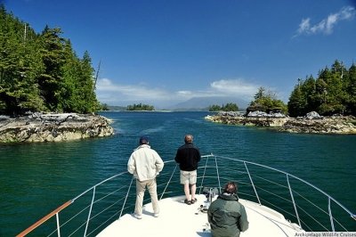 Photo of Archipelago Wildlife Cruises Photo of Archipelago Wildlife Cruises