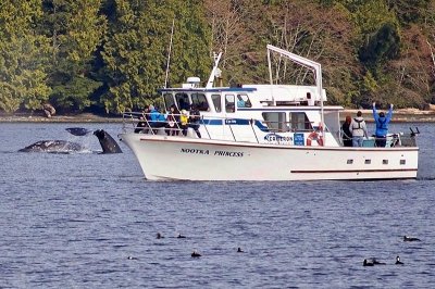 Photo of Cameron Ocean Adventures Photo of Cameron Ocean Adventures