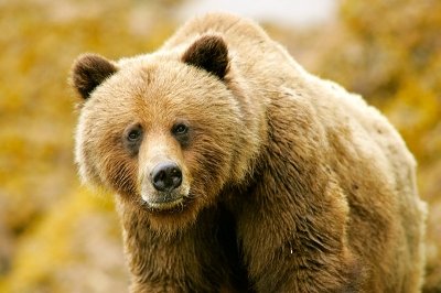 Photo of Prince Rupert Adventure Tours Photo of Prince Rupert Adventure Tours