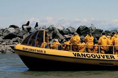 Photo of Vancouver Whale Watch Photo of Vancouver Whale Watch