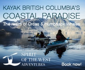 Spirit of the West Adventures Ltd, kayaking the realm of Orcas and Humpback Whales, British Columbia, Canada