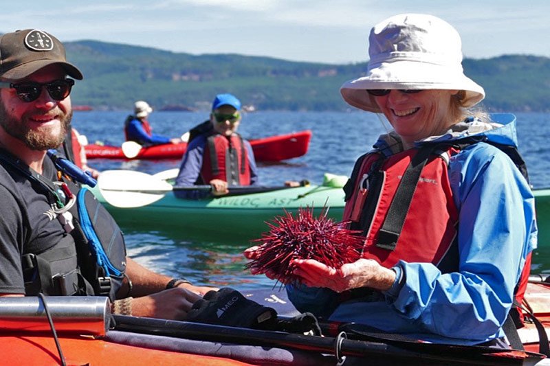 Kayaking & Camping in Canada’s West Coast Wilderness, with Wildcoast Adventures, British Columbia