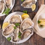Top 5 Oyster Facts that May Shellshock You: Clayoquot Oyster Festival, Tofino, Vancouver Island, British Columbia