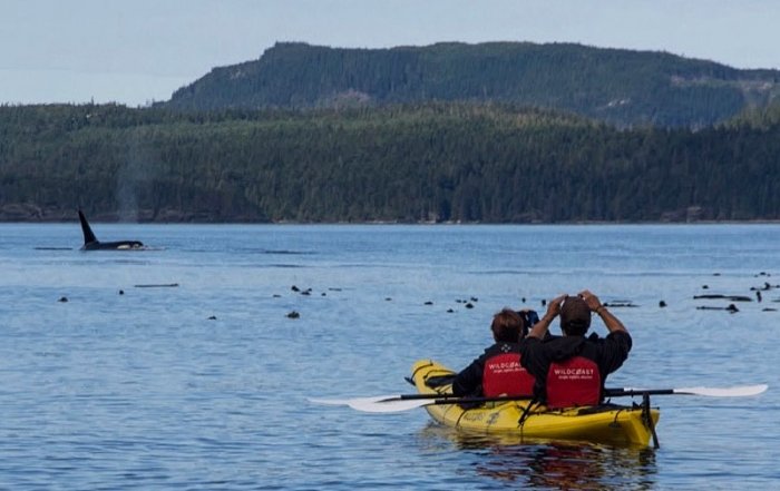 Wildcoast Adventures Kayak Tours & Vacations, Quadra Island, Discovery Islands, British Columbia