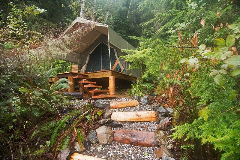 Luxury Safari-style tent: Orca Dreams offers kayaking, whale watching and luxury camping on Compton Island, Blackney Pass, British Columbia