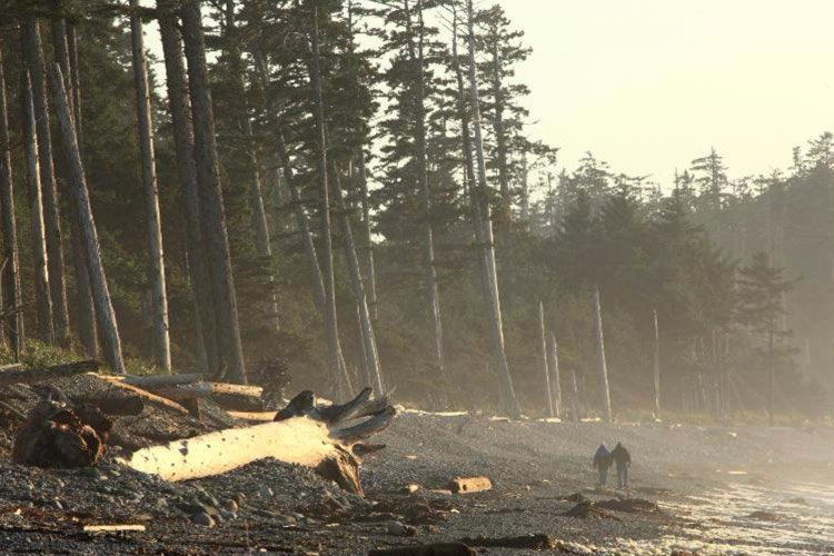 Agate Beach, Graham Island: Far-flung Northern British Columbia and Mythical Haida Gwaii, BC, Canada