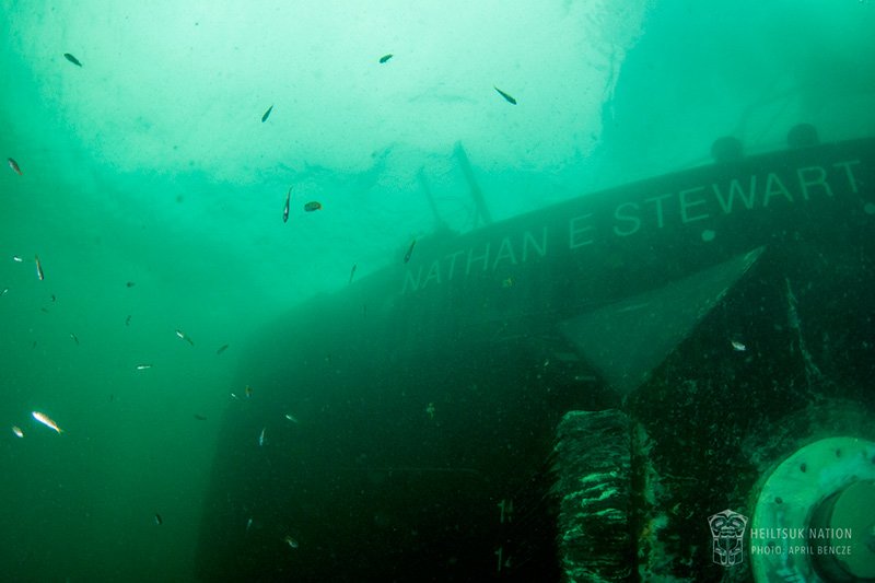 The Nathan E. Stewart, a sunken fuel barge tug that leaked fuel into shellfish harvest grounds near Bella Bella, British Columbia. Photo: April Bencze/Heiltsuk Tribal Council