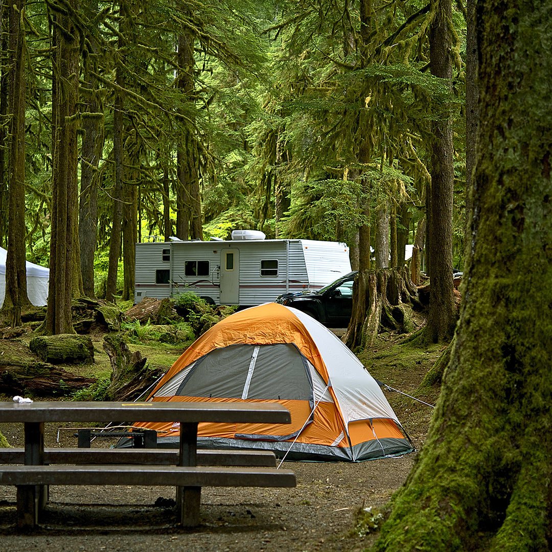 campsite tent campground provincial park vancouver island british columbia 53462348 - British Columbia