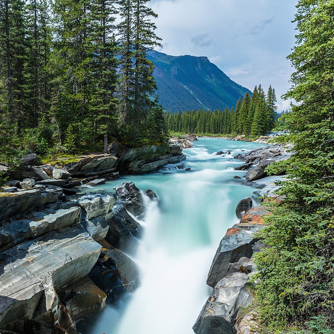 kootenay national park numa falls vermilion river kootenays british columbia 69158864 - British Columbia