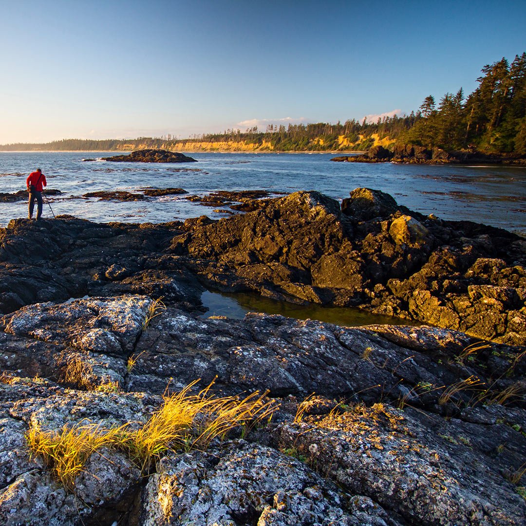 rugged coastline west coast vancouver island british columbia canada 63908823 - British Columbia