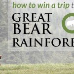 Eat Chocolate, Save the Bears and Win a trip to the Great Bear Rainforest with the Raincoast Conservation Foundation, British Columbia