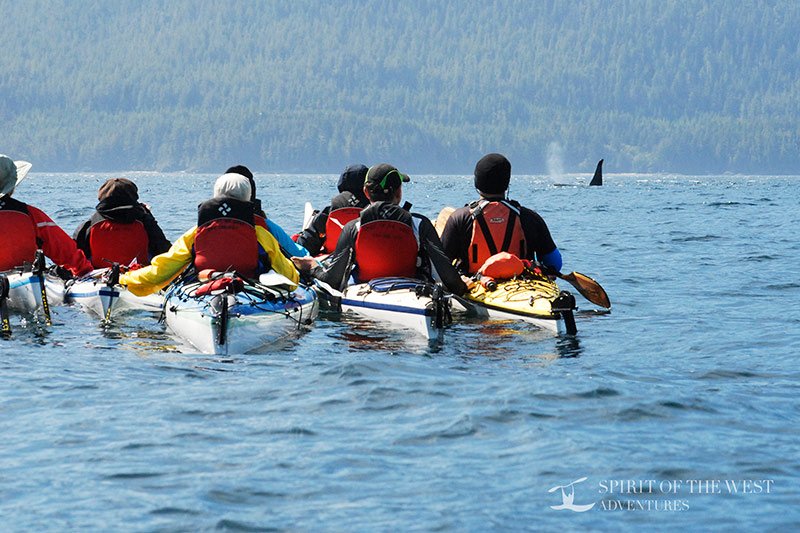 Spirit of the West Kayaking offers multi-day wilderness kayaking trips in British Columbia from Quadra Island in the BC Discovery Islands