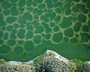 Klikuk, the sacred Spotted Lake in Osoyoos, southern Okanagan, British Columbia