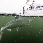 Cameron Ocean Adventures, Whale Watching and Fishing in Ucluelet, Vancouver Island, British Columbia. Phot Kyler Vos Photography, Tofino, BC