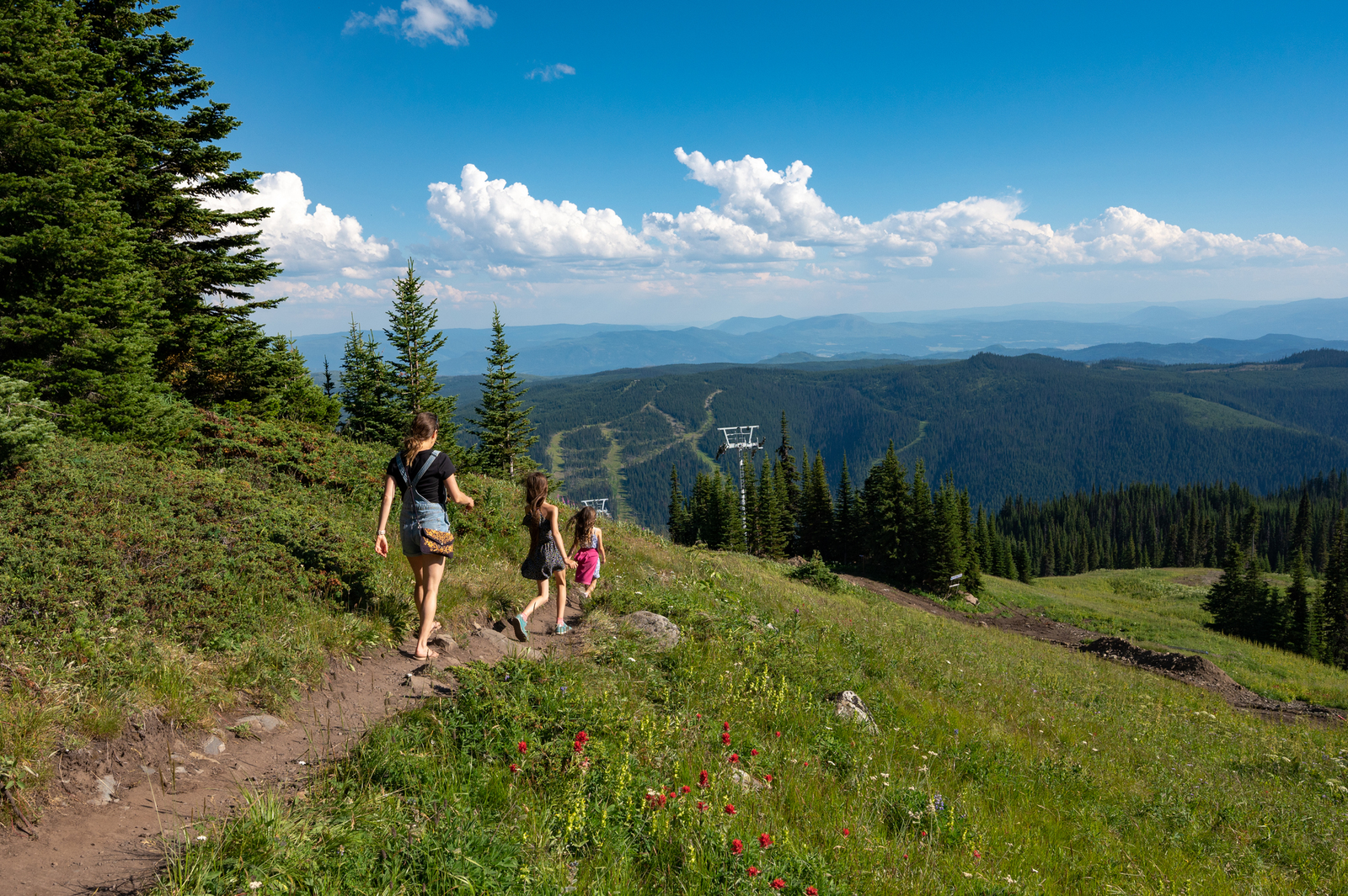 Ski Lifts at Sun Peaks Resort allow for summer hikes amongst wildflowers