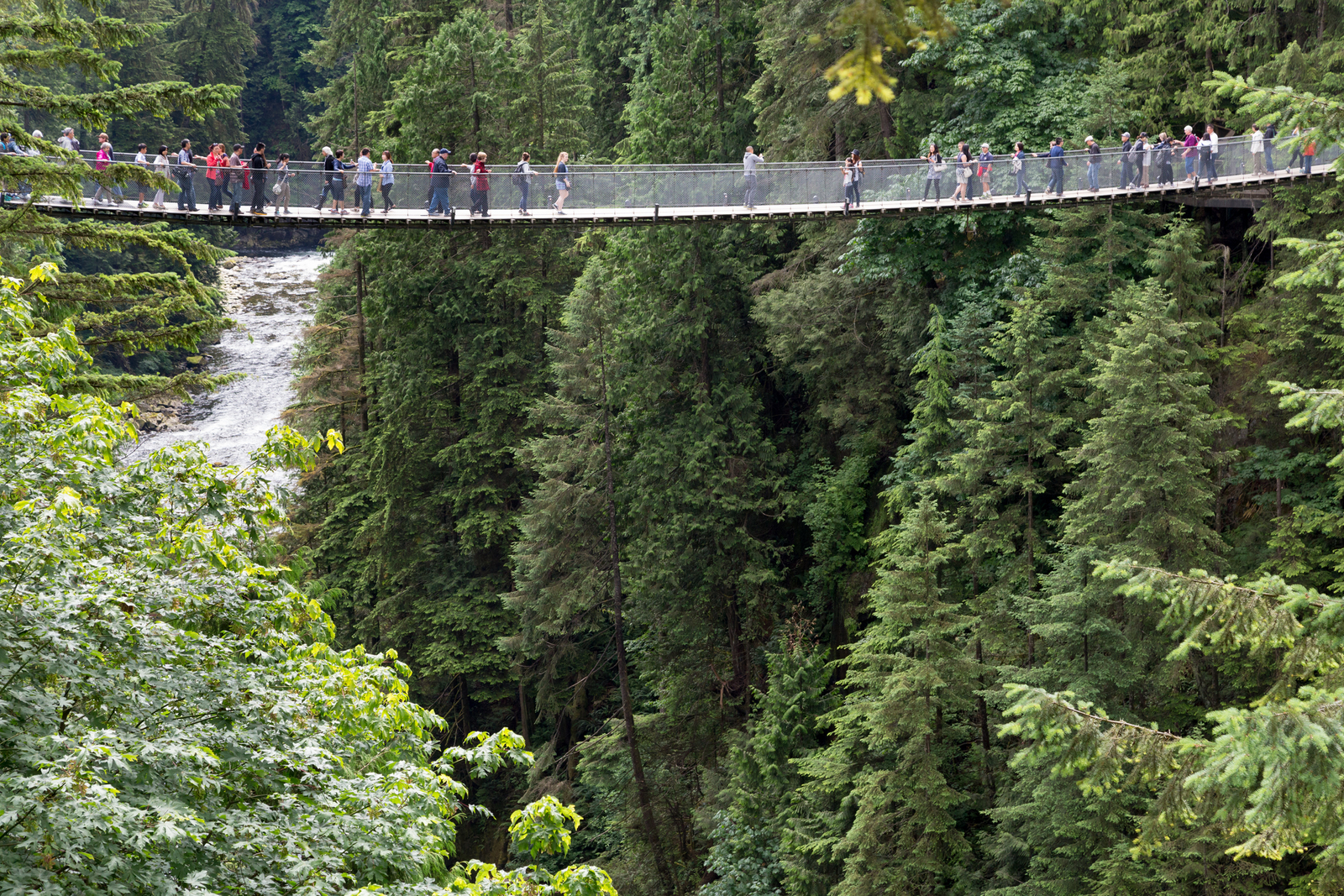 Outdoor adventures in Vancouver including Capilano Suspension Bridge
