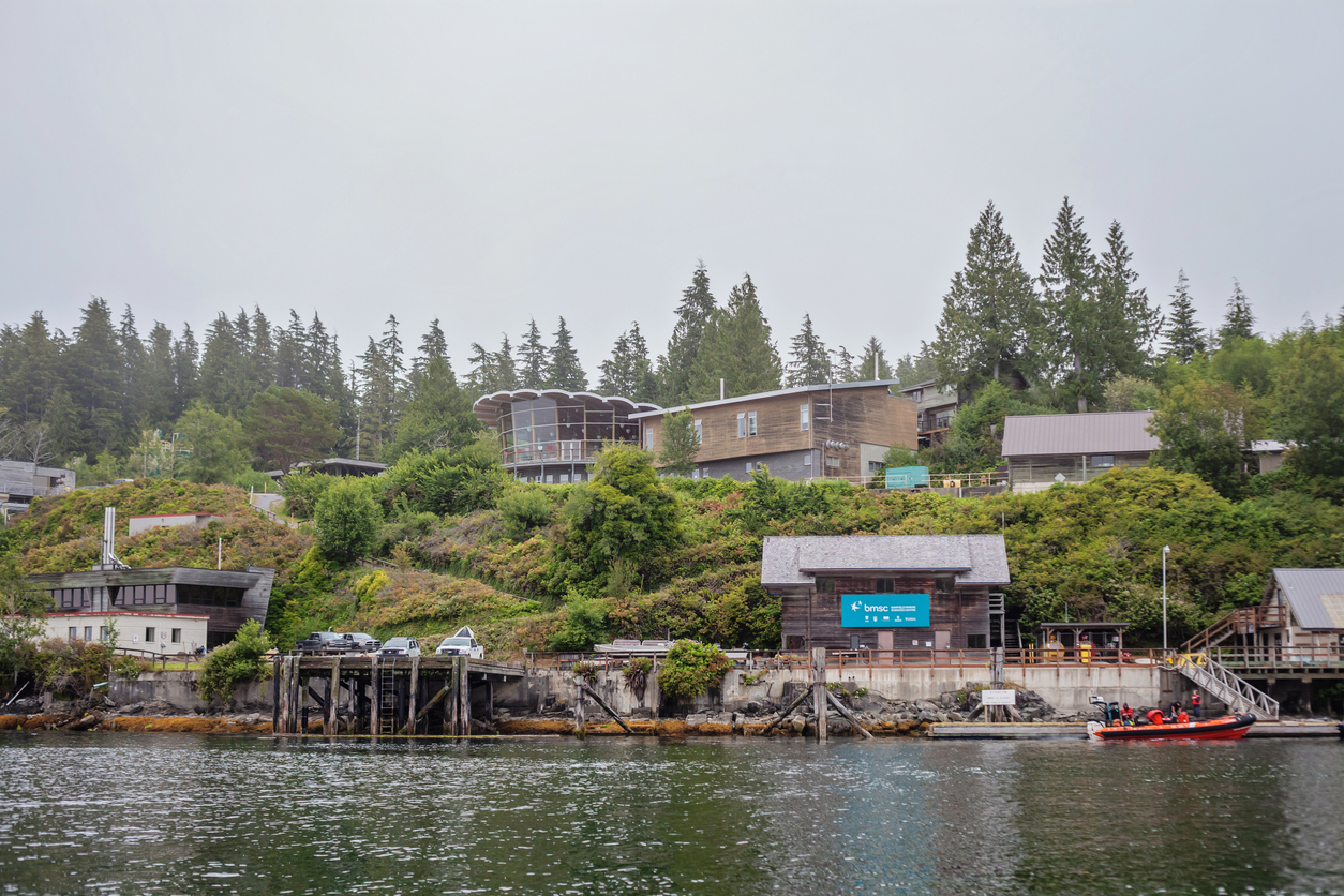 Views from the water of Bamfield Marine Sciences Centre from the Bamfield Inlet.