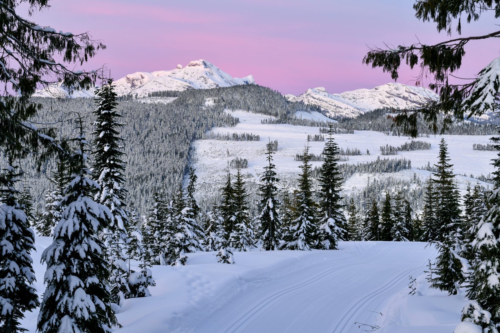 Winter with snow at Mount Washington, Courtenay, Vancouver Island