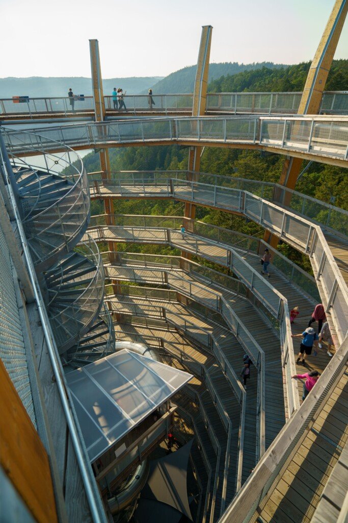 View of the Malahat Skywalk from the inside.