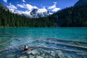 Middle Joffre Lake in the summertime with a glacial view.