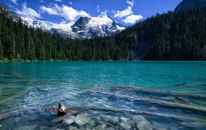 Middle Joffre Lake in the summertime with a glacial view.