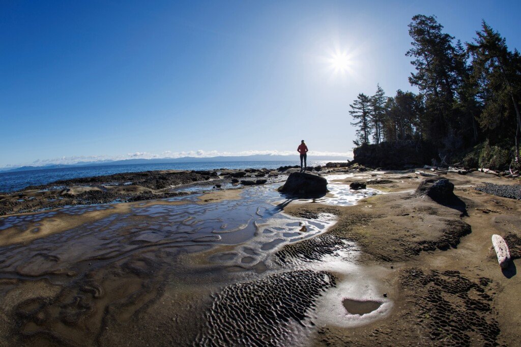 Views of a beach hike on Hornby Island.