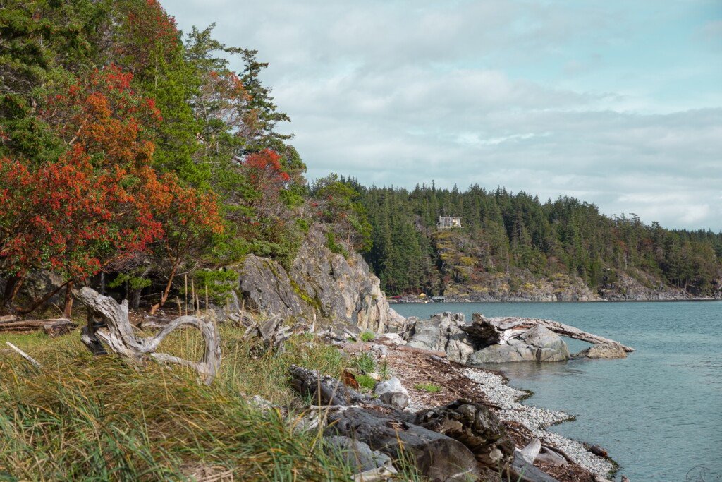 Rocky shoreline of Hanks Beach, Cortes Island