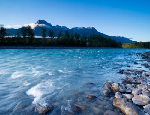 Skeena River British Columbia | Ultimate Guide to Fishing Spots & Wildlife