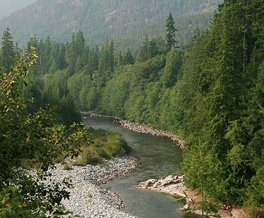 Nimpkish River and Mt. Ashwood, from Woss on North Vancouver Island