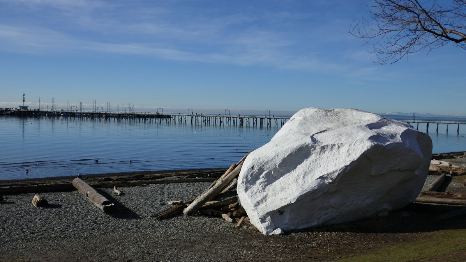 View of the white rock and pier at White Rock Beach near Surrey, British Columbia.