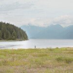 Grant Narrows Regional Park during a spring season in Pitt Meadows, British Columbia.