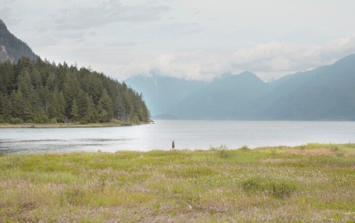 Grant Narrows Regional Park during a spring season in Pitt Meadows, British Columbia.