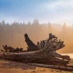 Shoreline at dusk along the beach in Port Renfrew (located on western Vancouver Island).