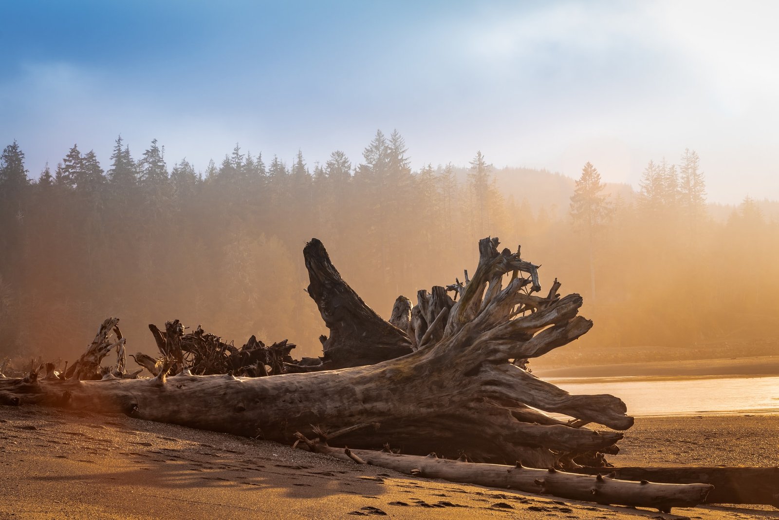 Shoreline at dusk along the beach in Port Renfrew (located on western Vancouver Island).