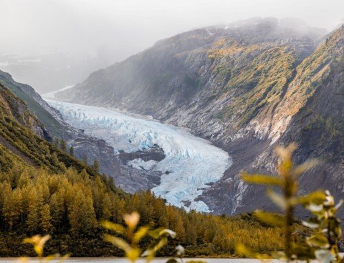 Bear Glacier Provincial Park: Adventure Along Highway 37A