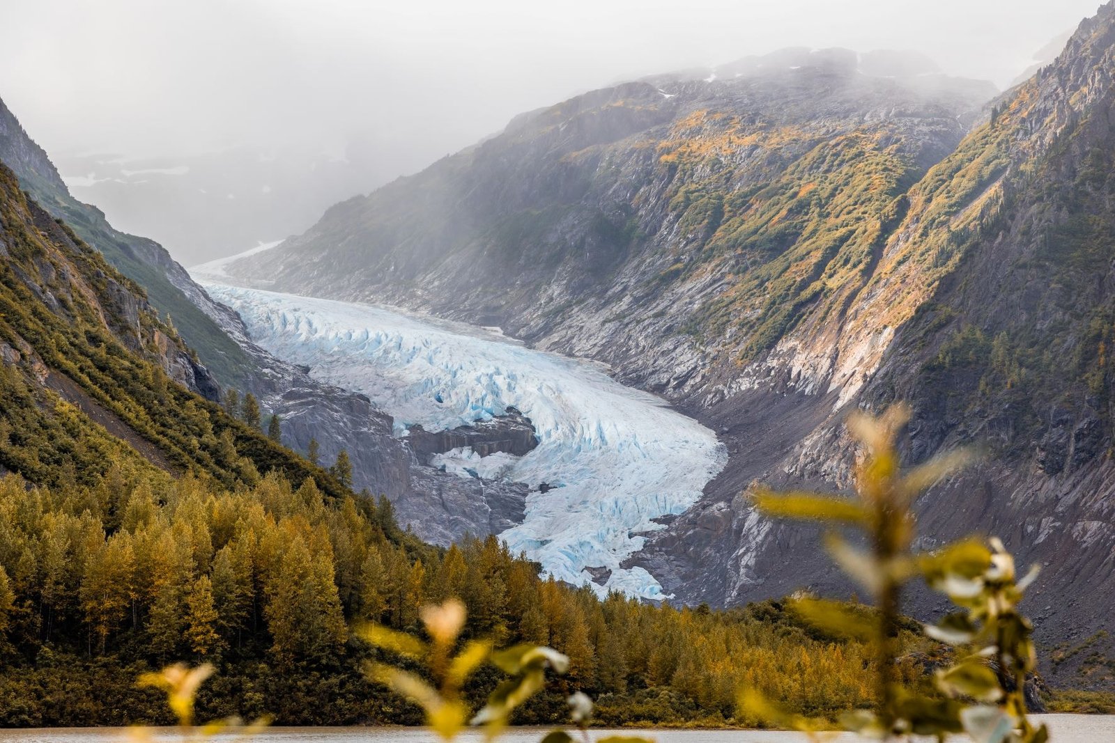 Bear Glacier descends towards Strohn Lake, down Bear River Pass.