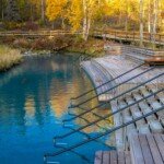 Liard River Hot Springs surrounded by bright autumn leaves.