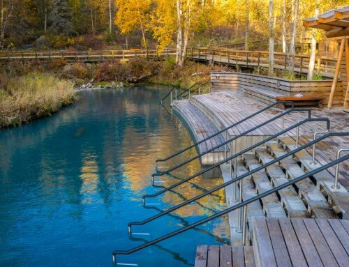 Discover the Best of Liard River Hot Springs Provincial Park