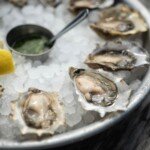 Fresh oysters on an iced platter.