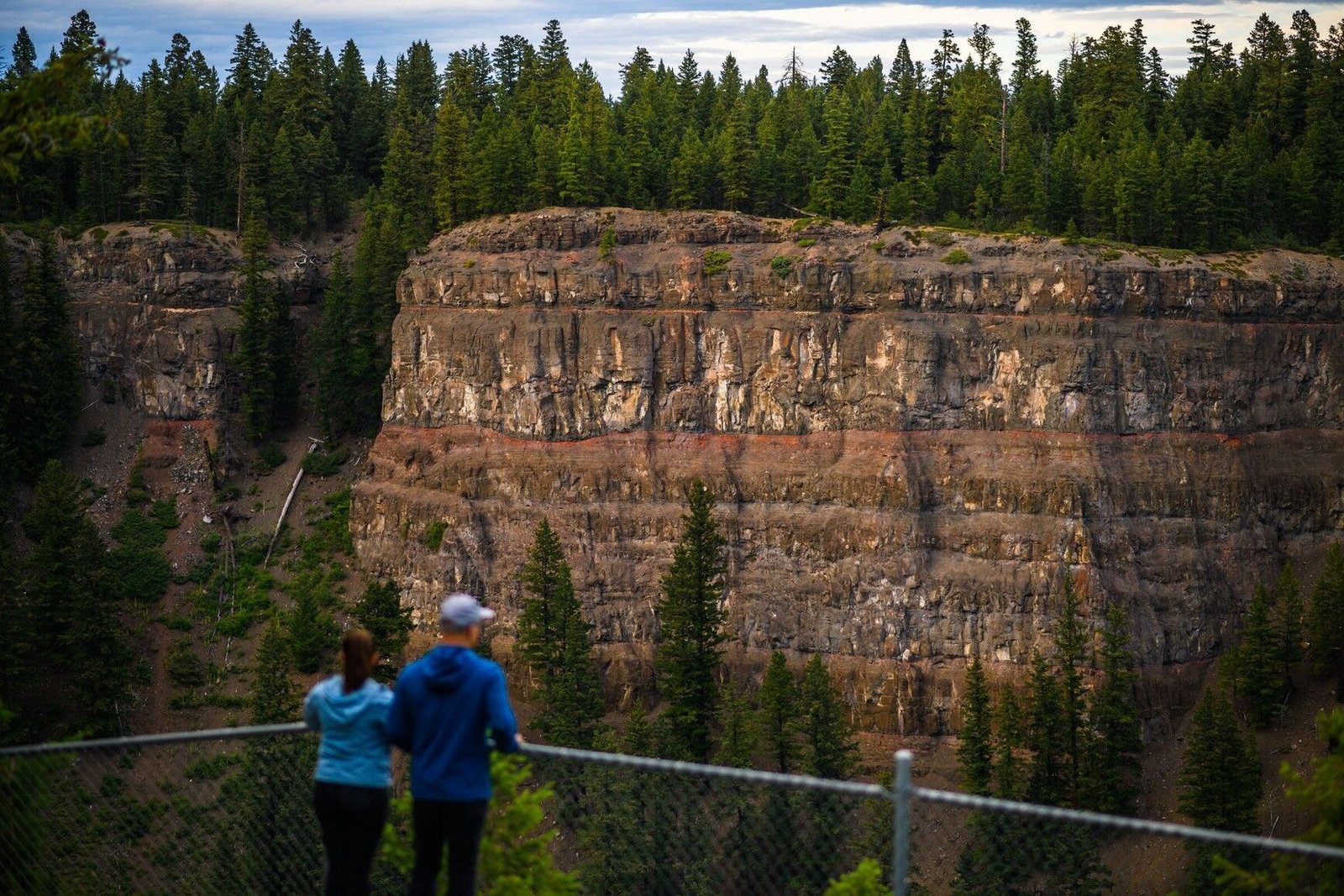 Lookout view of Chasm Provincial Park showcasing its canyon