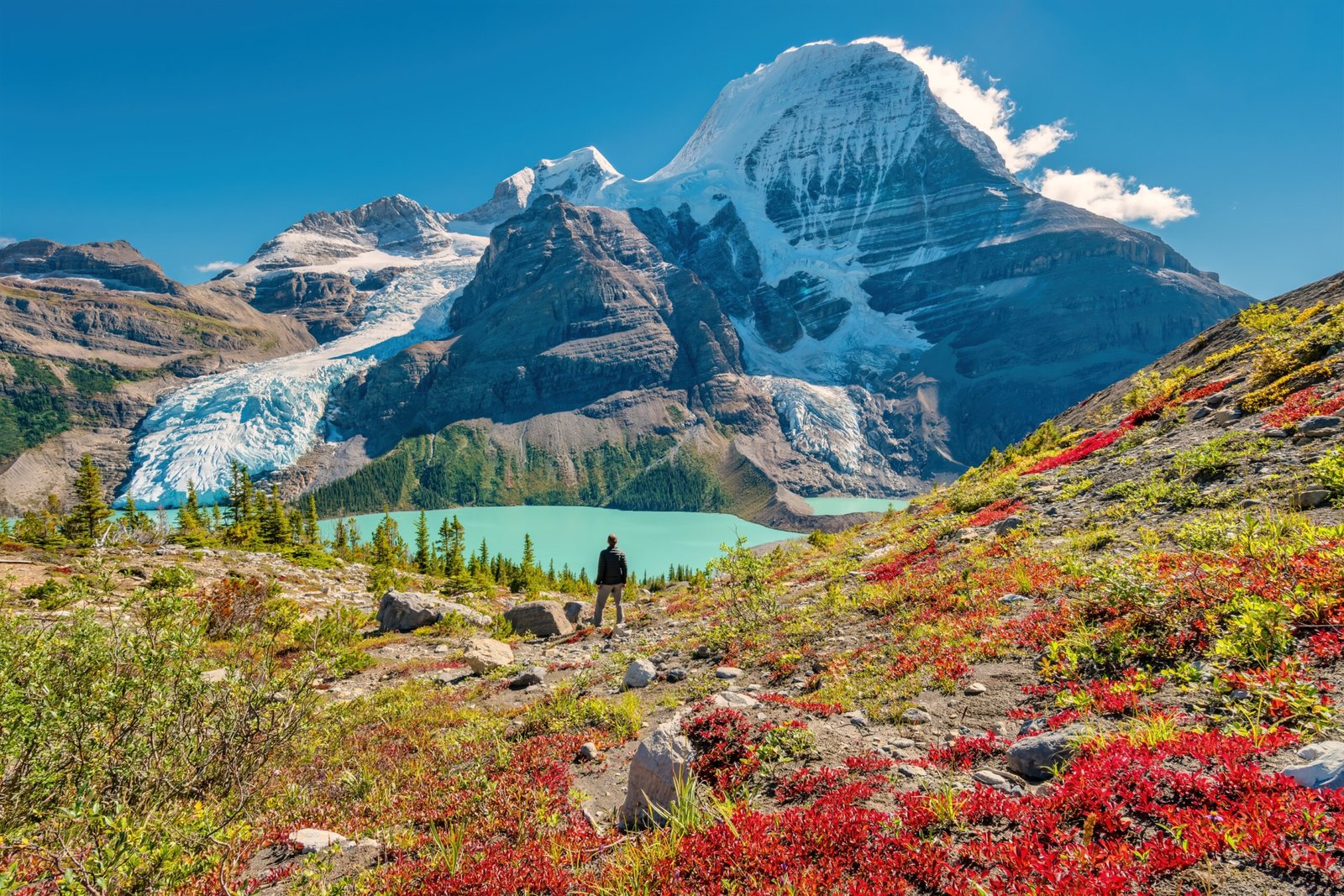 Hiker admires view of Mount Robson from above Berg Lake, Mount Robson Provincial Park, British Columbia, Canadian Rockies.