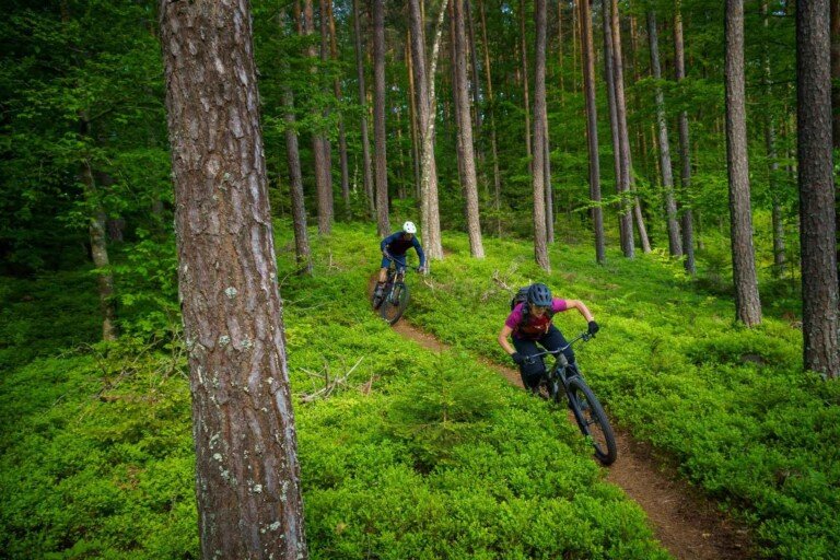 Grouse Mountain Vancouver1 768x512