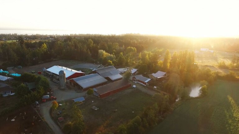 LQC aerial East 768x432