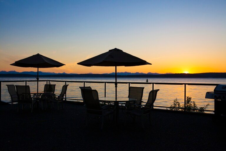 PatioSunrise Copy 2024 10 20 16 25 09 UTC 768x512