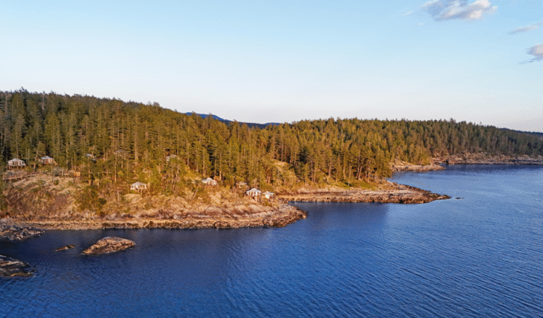 Screenshot 2025 07 24 150425 768x450