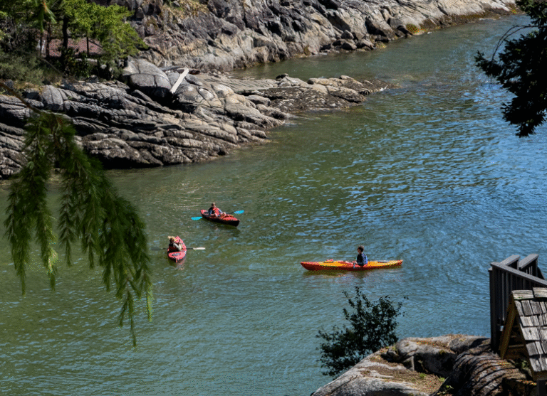 Screenshot 2025 07 24 150456 768x557