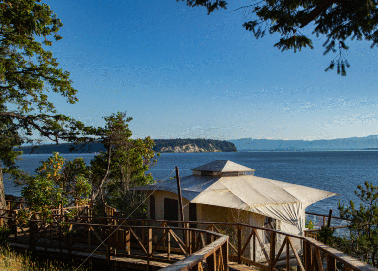 Screenshot 2025 07 24 151004 768x550