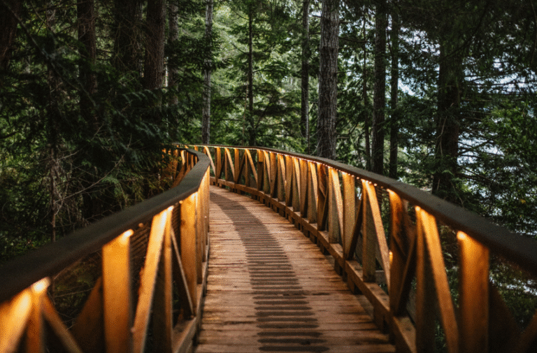 Screenshot 2025 07 24 151235 768x505