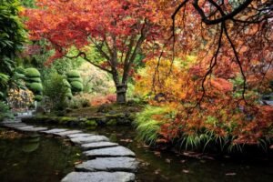 Fall colors Butchart Gardens Victoria BC