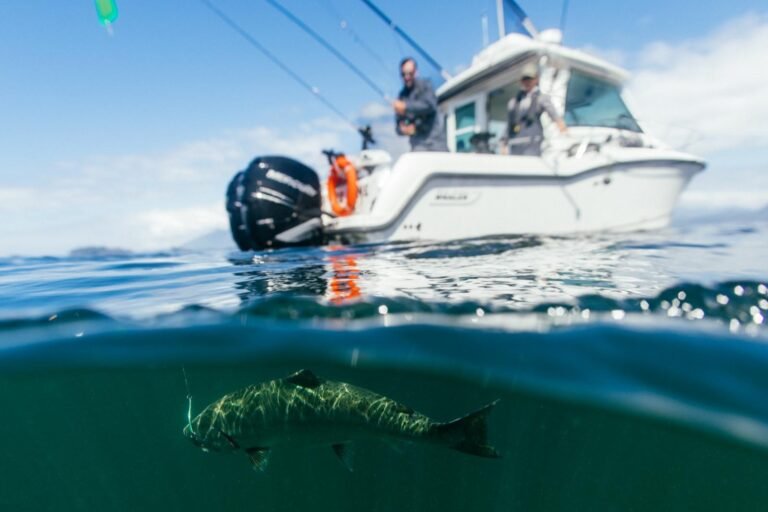 Fishing 768x512